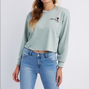 Cropped Crew Neck Long Sleeved Tee